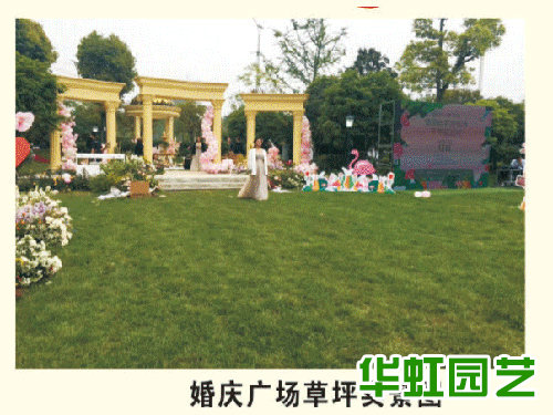 金磊婚慶廣場案例實(shí)景