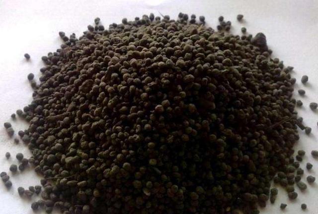 懷化華虹園藝園林綠化有限公司,懷化園林綠化工程設(shè)計(jì)施工養(yǎng)護(hù)