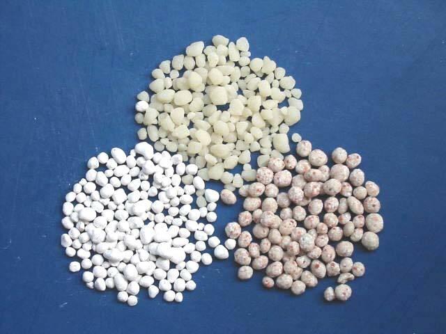 懷化華虹園藝園林綠化有限公司,懷化園林綠化工程設(shè)計(jì)施工養(yǎng)護(hù)