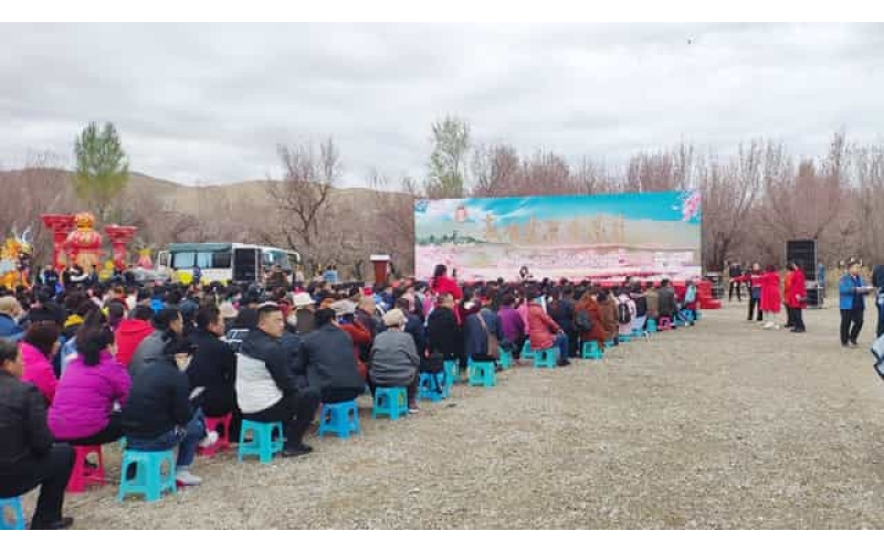 敦煌月牙泉杏林大型活動場地