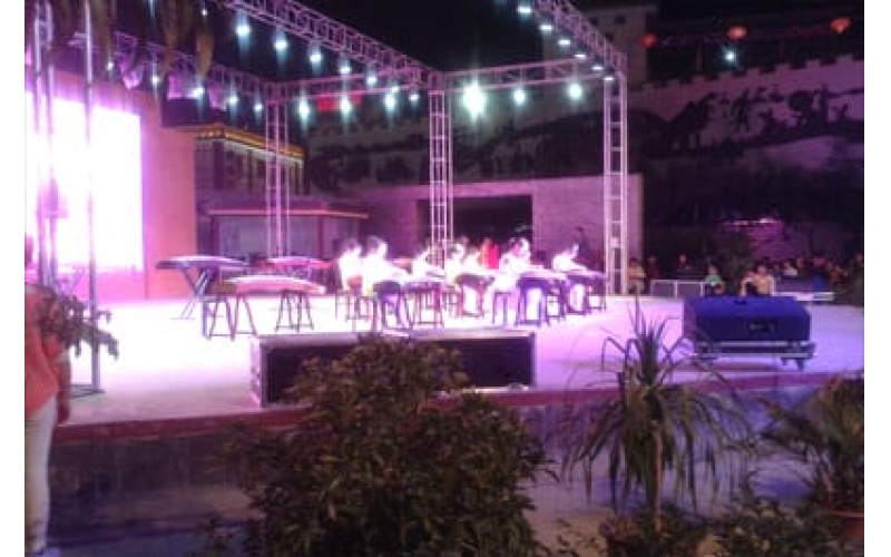 律動青春 放飛夢想 敦煌陳思思古箏藝?！坝瓏鴳c”專場文藝演出